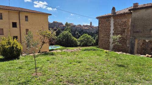 two trees in a yard next to a building at La Pergola del Kiwi a Pitigliano in Pitigliano