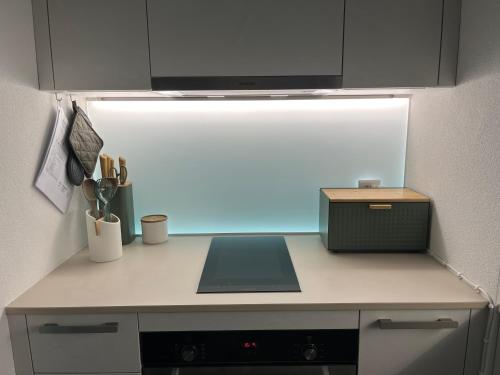 a kitchen with a counter with a microwave and a counter sidx sidx sidx at Studio Horizon Dorigny in Lausanne