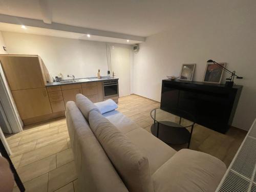 een woonkamer met een witte bank en een televisie bij Pendler Montagewohnung Kandern, Lörrach, Basel D,CH, FR 