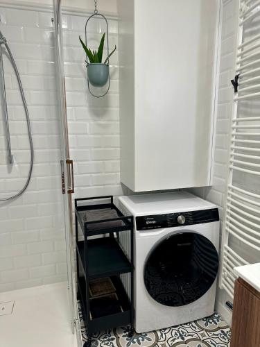 a washing machine in a bathroom next to a shower at The Art Nest in Kutná Hora