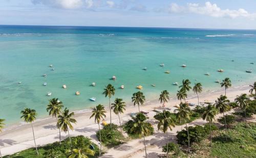 Una vista aérea de una playa con palmeras y el océano. en Casa Valentina em Milagres - AL, en São Miguel dos Milagres