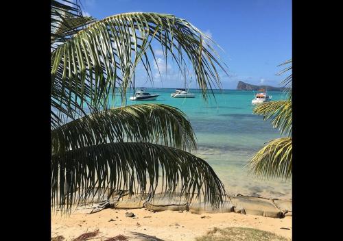 una palmera en una playa con barcos en el agua en Paradise Escape, en Grand Baie