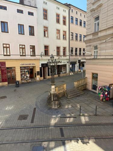 a city square with a fountain in front of buildings at Kovarik Apartments I in Olomouc