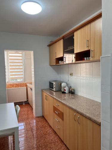 Una cocina con gabinetes de madera y encimera. en Darko Residence, en Timisoara