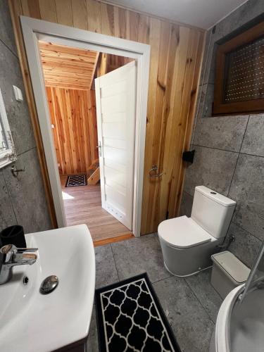 a bathroom with a toilet and a sink at Chatka Mała Sowa - Stara Rzeka in Stara Rzeka