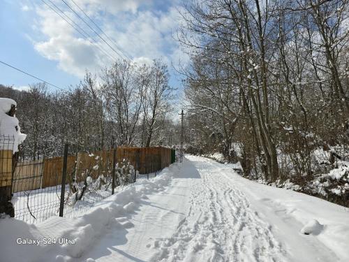Kış mevsiminde Chalet Panoramic Maluri