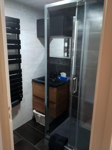 a bathroom with a shower and a sink at Appartement proche de la Mairie in Limoges
