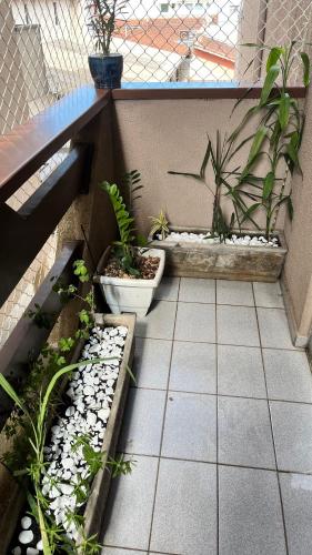 a patio with some plants and rocks and a table at Apartamento Matteo in Ubatuba