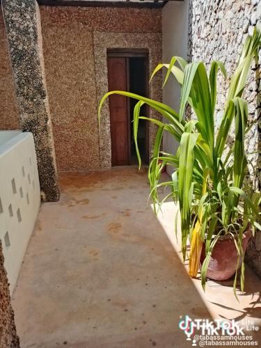 Φωτογραφία από το άλμπουμ του Rembo House σε Lamu