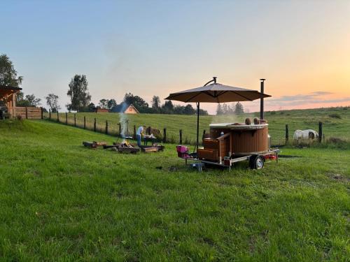 an umbrella and a cart in a field at Leśny Zakątek - Mazury - Warmia - jezioro Dadaj in Ramsowo