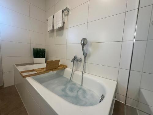 Ένα μπάνιο στο cameiroo - Penthouse Euskirchen