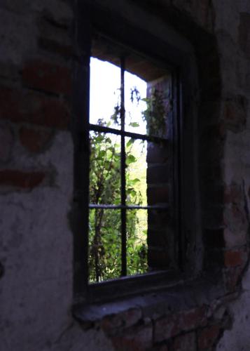 a window in a brick wall looking at a tree at Stacja Binino 