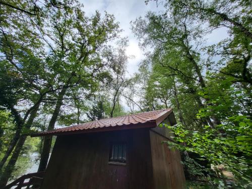 un piccolo edificio in mezzo a una foresta di La Cabane a Saint-Michel-le-Cloucq