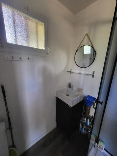 a bathroom with a sink and a mirror at La Cabane, dans la forêt de Mervent in Saint-Michel-le-Cloucq