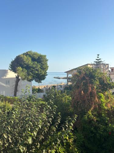 a view of a beach with a tree and buildings at Bianca Marea in Realmonte