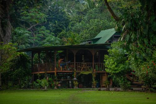 a house with a deck in the middle of a yard at Dolphin Quest Jungle Lodge in Piedras Blancas