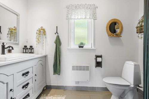 a bathroom with a toilet and a sink and a window at LF14031-Roslev-Stranddalen-131 in Roslev