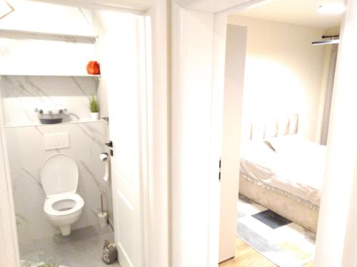 Ένα μπάνιο στο Apartament Vivamus Residence Brasov