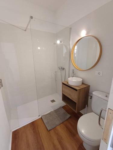 a bathroom with a toilet and a sink and a mirror at El patio in Las Lagunas