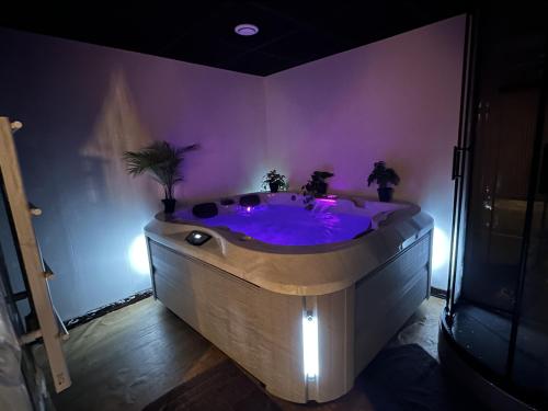 Cocon Jacuzzi et cinéma 4K B