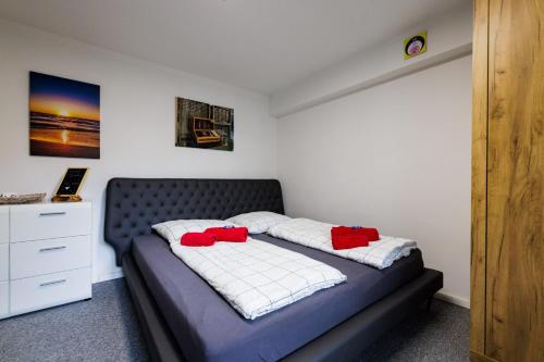 a bedroom with a bed with red pillows on it at Gemütliche Studio im Zentrum von Bad Hersfeld mit Küche und Balkon "Zuse" in Bad Hersfeld