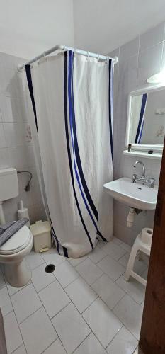a bathroom with a shower curtain and a toilet at Argiro's apartment at Agia Galini in Agia Galini