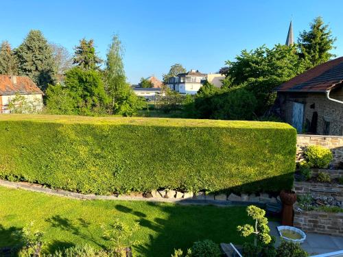 Jardín al aire libre en Wohnung für 4 Pers in Sechtem bei Köln/Bonn, DB-Anschluß