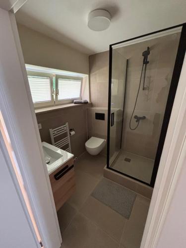 a bathroom with a shower and a toilet and a sink at Terrassenwohnung im Alstertal in Hamburg