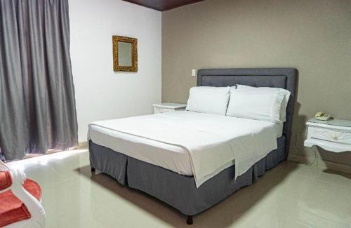 Postel nebo postele na pokoji v ubytování Hotel Suite Santa Rosa