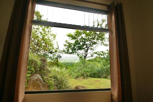 a window in a room with a view of a field at Casita Amapola in Tilarán