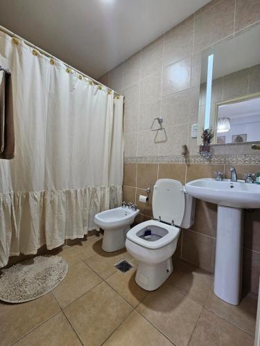 a bathroom with a toilet and a sink and a shower at Hermoso Departamento Centrico in Corrientes