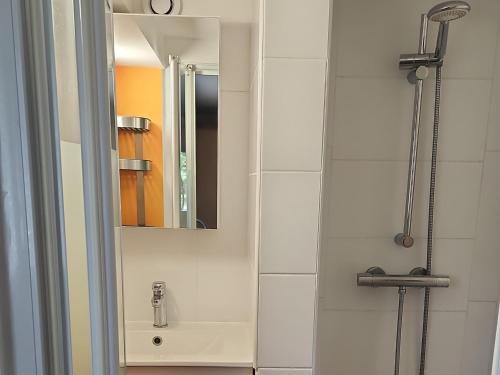 ein Badezimmer mit Dusche und Spiegel in der Unterkunft Charmant T2 avec terrasse jardin et parking privé, à 2 minutes du centre ville ! in Villeneuve-sur-Lot