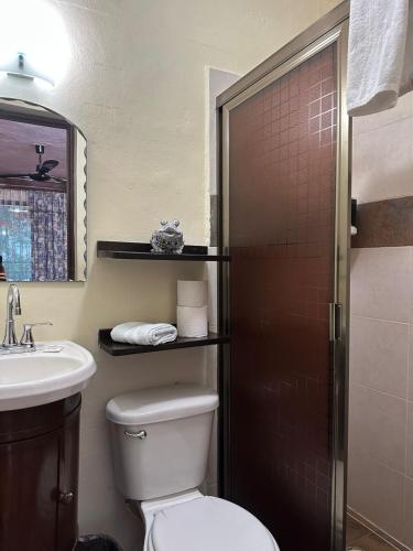 a bathroom with a toilet and a sink and a shower at Casa Yuya in Valladolid