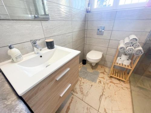 un bagno con lavandino e WC di T2 Sweet Horizon 2 - B at Home - Stade Groupama LDLC a Meyzieu