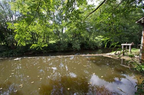 a river with a bench in the middle of it at Le Moulin du Cluzeau in Thollet