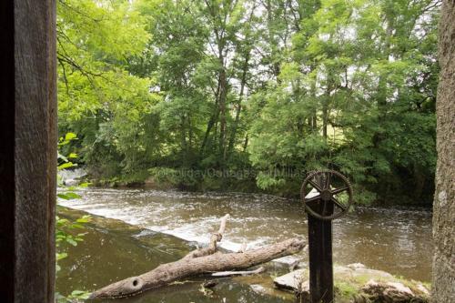 a tree branch in the middle of a river at Le Moulin du Cluzeau in Thollet