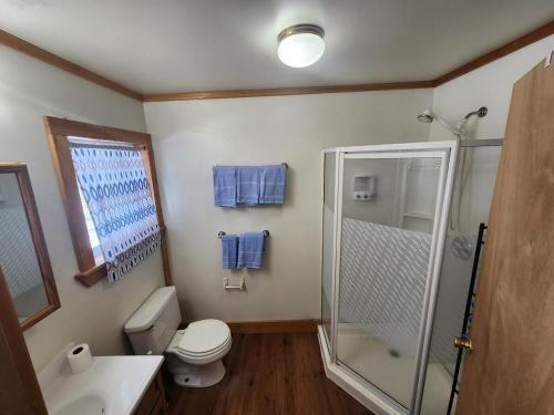 a bathroom with a shower and a toilet and a sink at WP2 Pet Friendly Keweenaw Apt w EV Charger Onsite in Calumet
