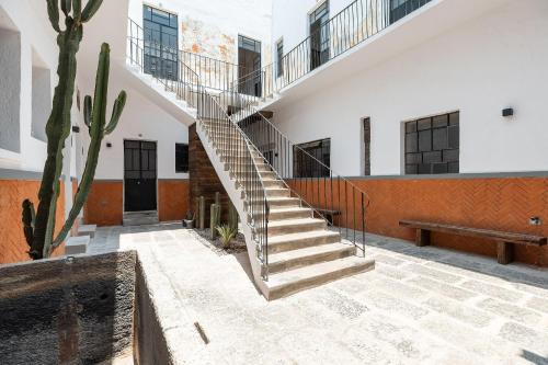 a staircase in a building with a cactus at Casa 212 con WIFI alta velocidad y estacionamiento in Puebla