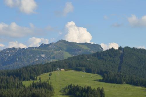 a green field with trees and a mountain at Winklmoos Sonnenalm in Reit im Winkl