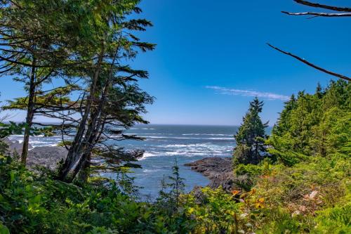 a view of the ocean through the trees at Fogged Inn in Ucluelet