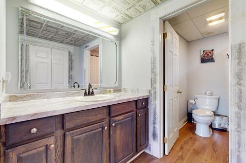 ピジョン・フォージにあるRiver Shelterの洗面台とトイレ付きのバスルーム