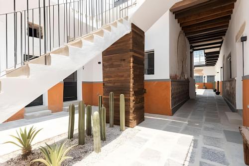 a hallway of a building with stairs and cactus at Casa 212 con WIFI alta velocidad y estacionamiento in Puebla