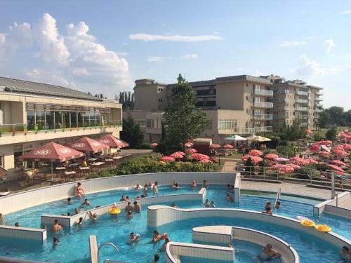 a group of people in a swimming pool with umbrellas at Vízparti wellness apartman Velence in Velence