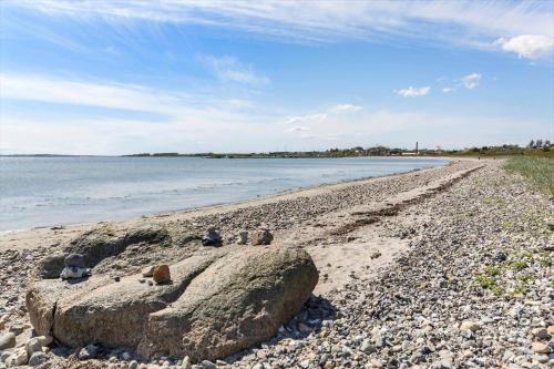 a group of birds sitting on a rocky beach at LF18110-Veslos-Agerovej-13 in Vesløs