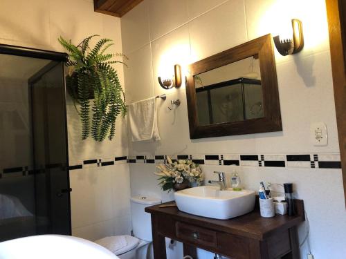 Un baño con lavabo, espejo e inodoro. en Rancho SF Casa Texana, en Novo Hamburgo