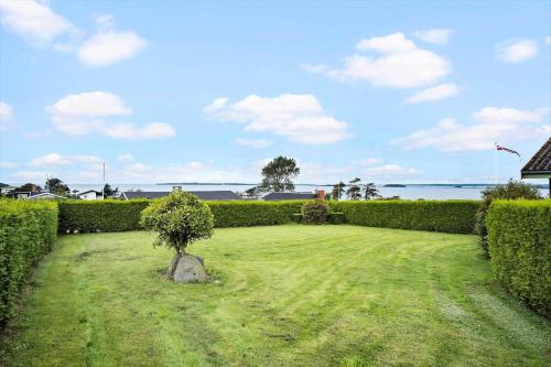 a garden with a tree in the middle of it at FY267-Faaborg-Horsehoved-37 in Fåborg