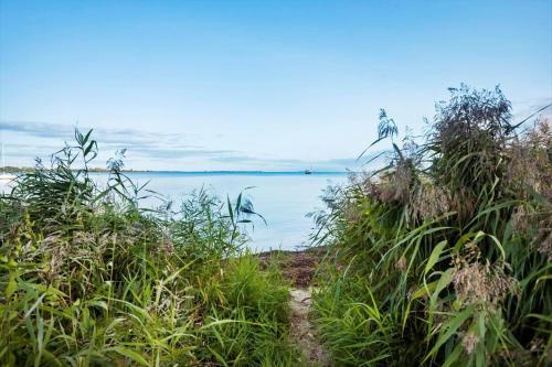 a path through the grass next to a body of water at FY297-Faaborg-Ostergyden-37 in Nabbe
