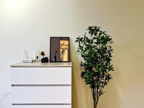a plant sitting next to a white dresser with a mirror at Calm MUJI-Inspired Home - Stunning Sunset View - Steps To IOI City Mall - Your Best Urban Retreat in Putrajaya