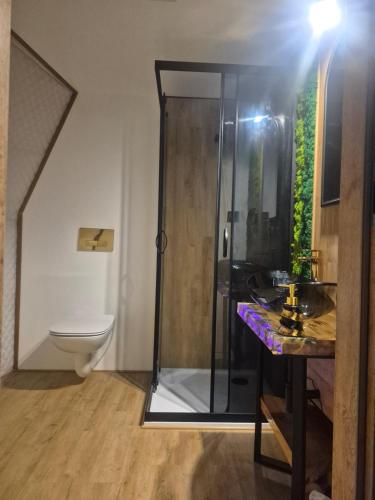 a bathroom with a shower and a toilet at Glamping Agro Marzenie in Krajno Pierwsze