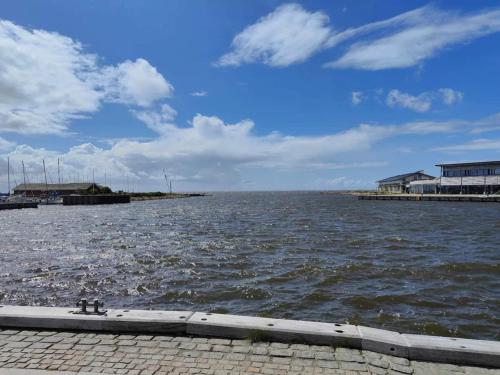 a view of a large body of water at Charming Retreat by Fjord - By Traum Ferienwohnungen in Ringkøbing